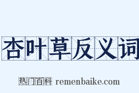 杏叶草反义词是什么意思的图片